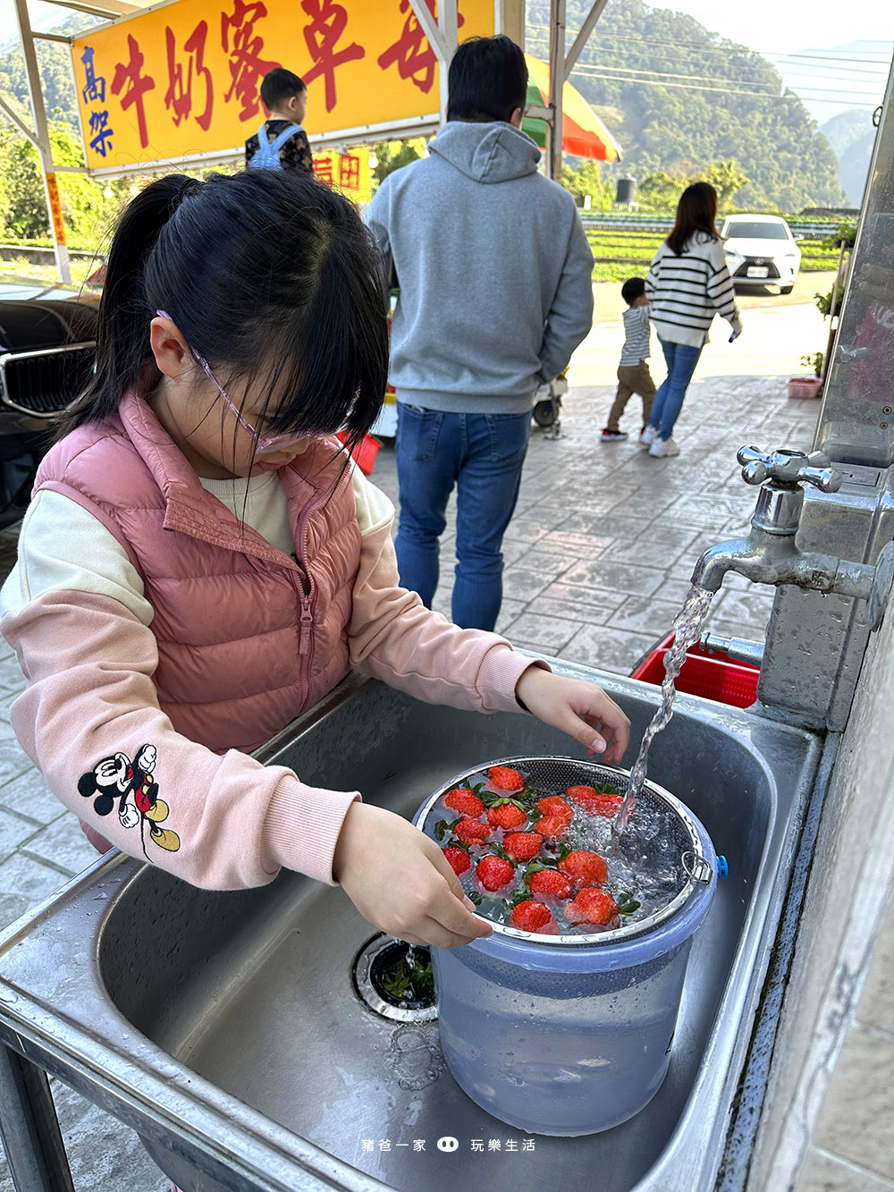 苗栗大湖-滿意高架草莓園