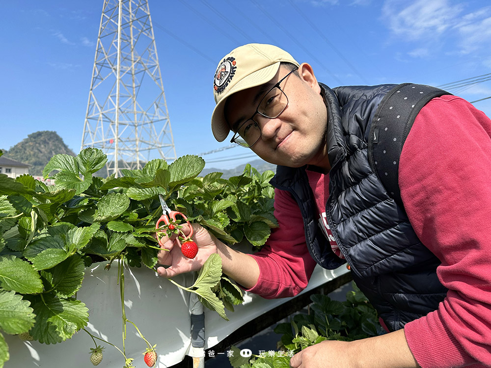 大湖草莓園推薦