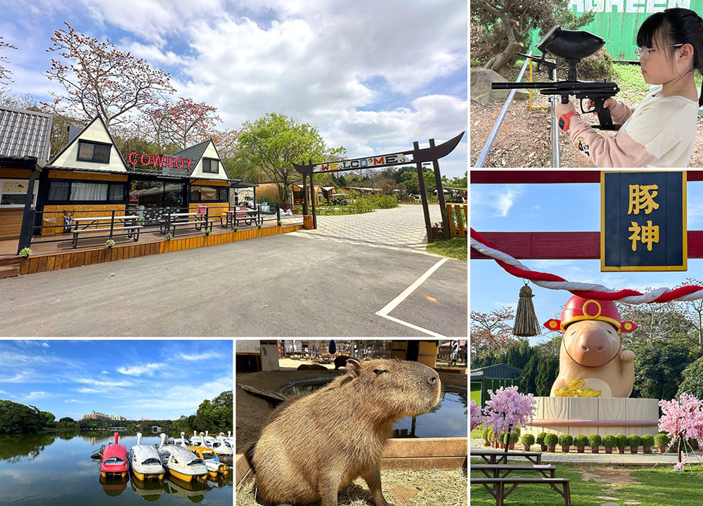 桃園埔心牧場露營-牛仔星村，與小動物近距離接觸、開電動車遊園