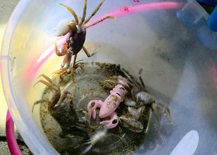 653059596 1359669836183967 1549339289751237651 n