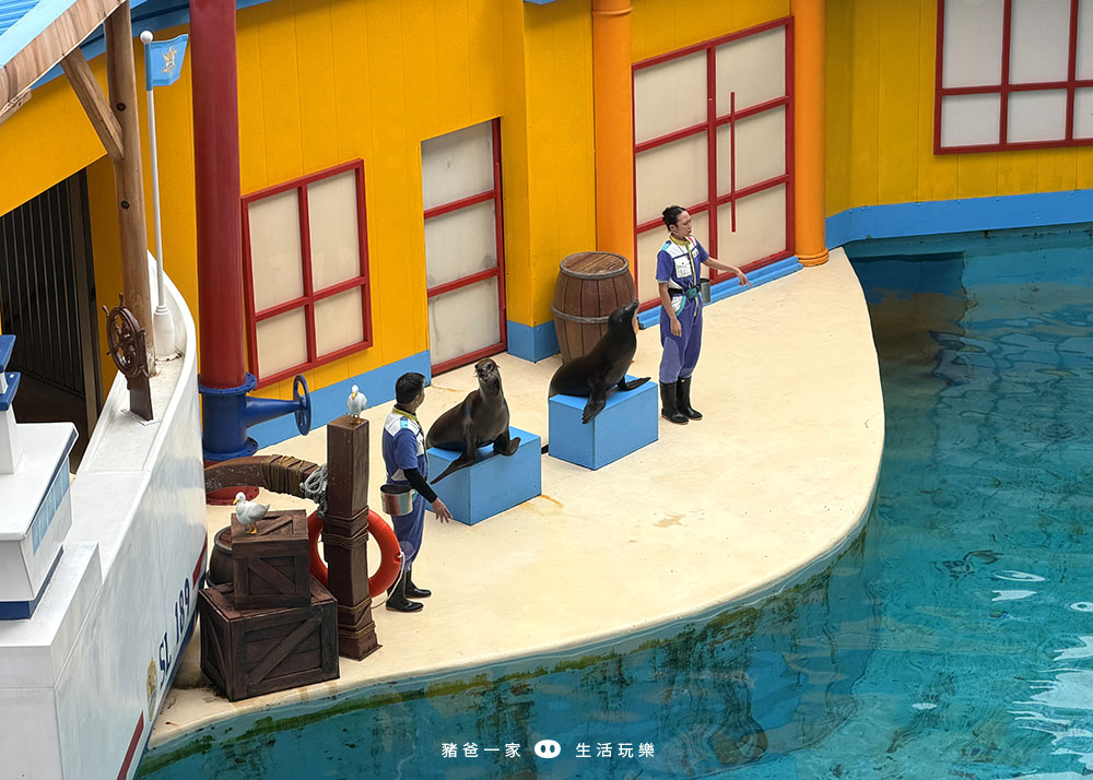 花蓮海洋公園48