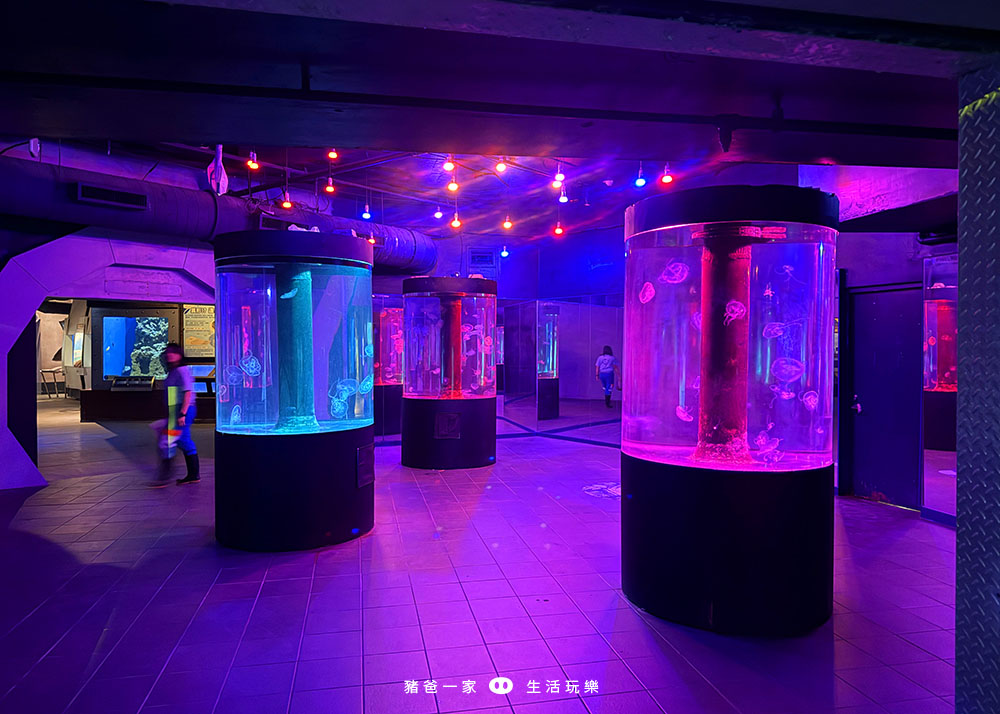 花蓮海洋公園54