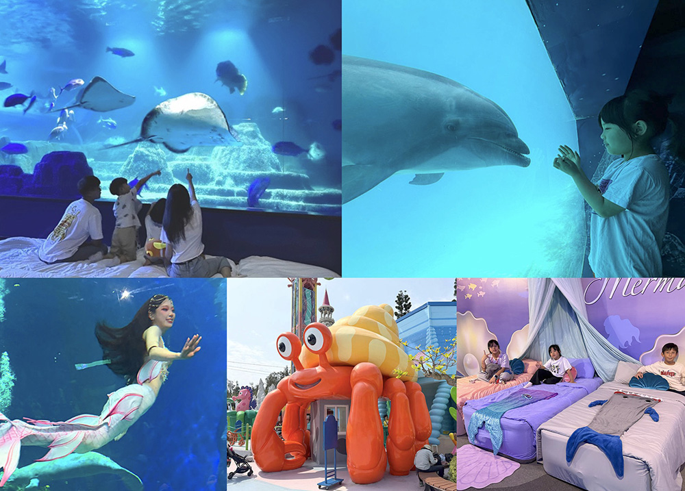 Ocean Park1