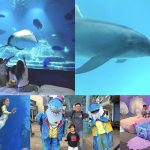 Ocean Park2