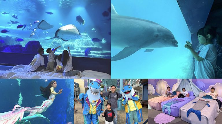 Ocean Park2