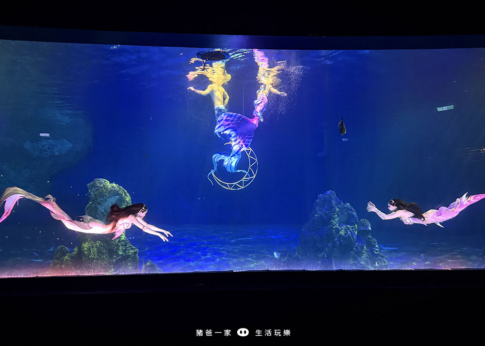 海洋夜未眠2