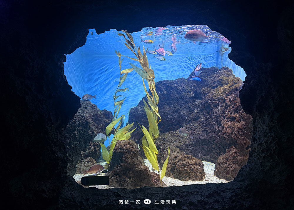 海洋夜未眠41