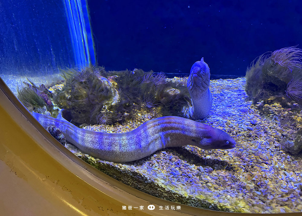 海洋夜未眠45