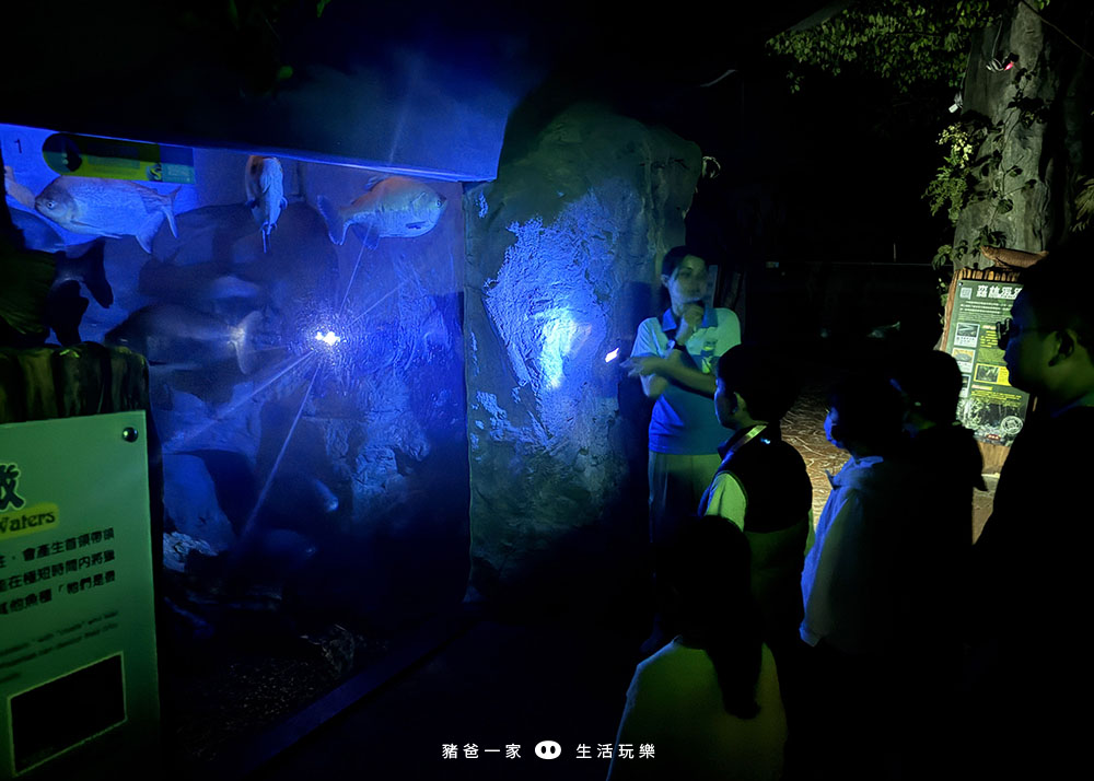 海洋夜未眠51