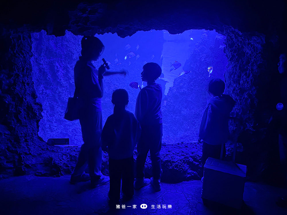 海洋夜未眠52