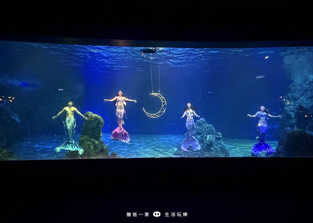 海洋夜未眠6