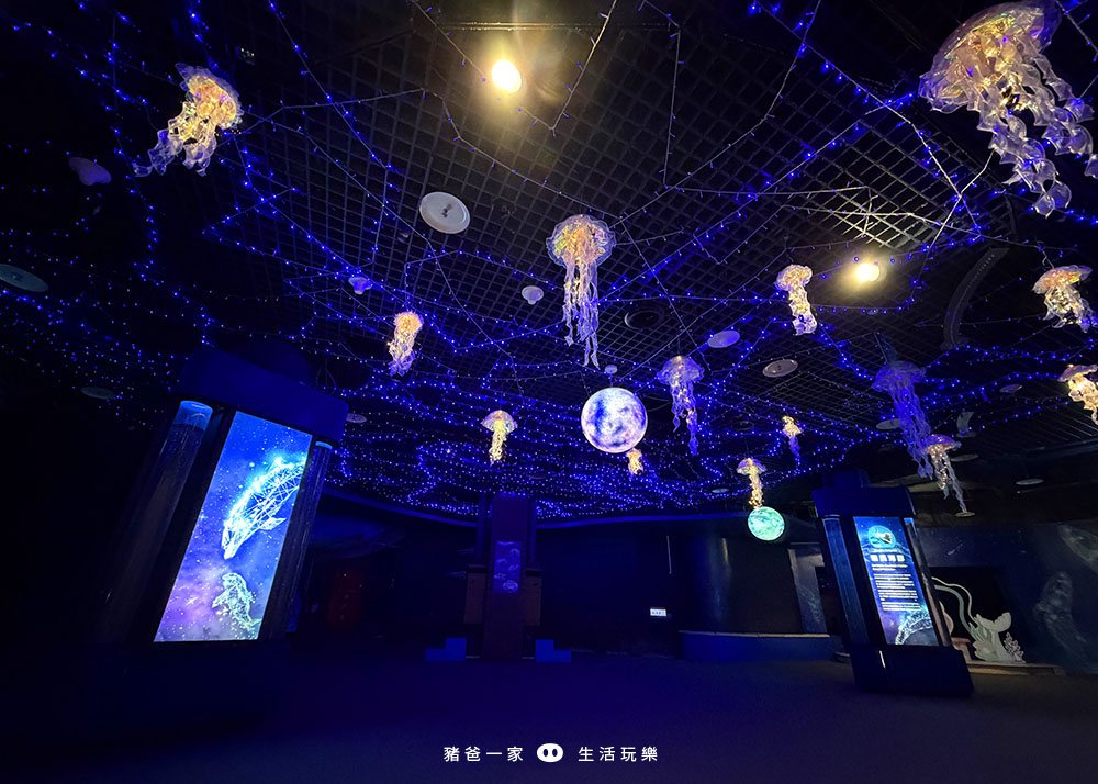 海洋夜未眠65