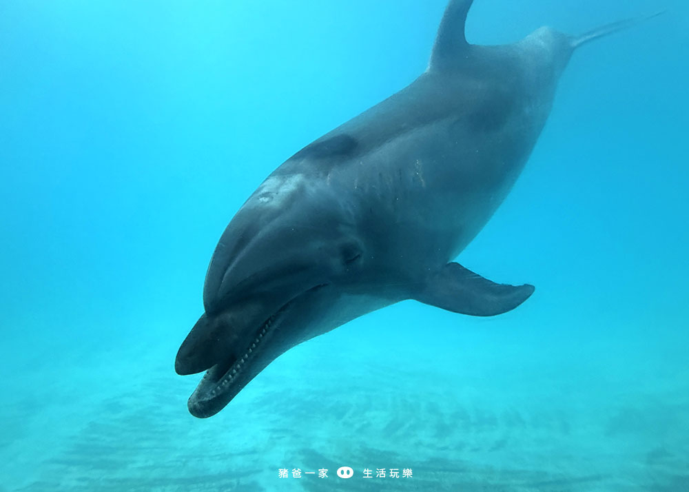 海洋夜未眠66