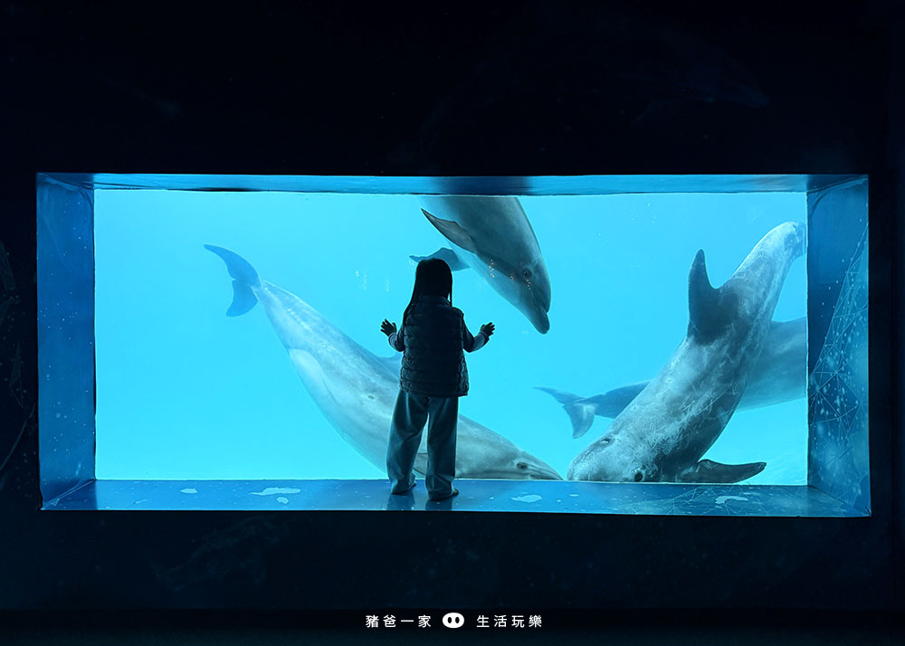 海洋夜未眠70