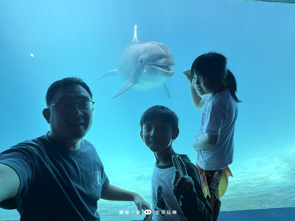 海洋夜未眠85