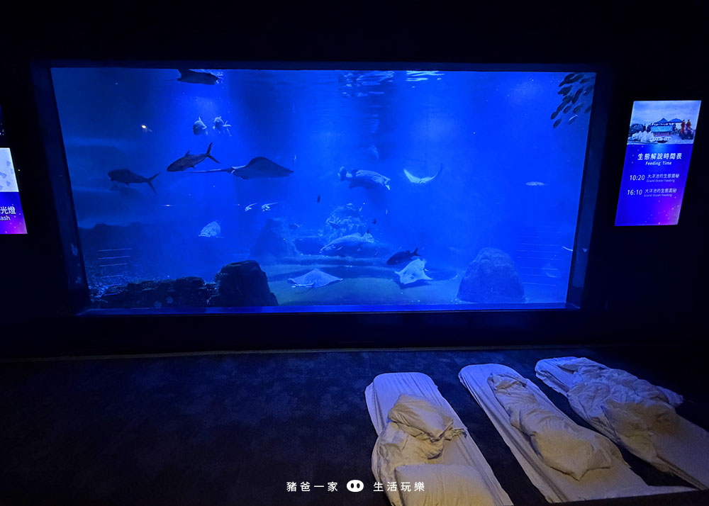 花蓮海洋公園 夜宿水族館23