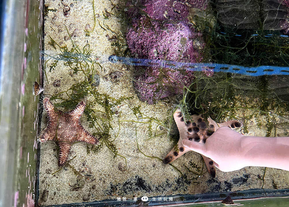 花蓮海洋公園 夜宿水族館7