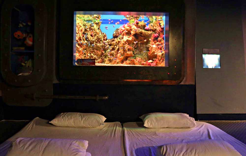 小丑魚區1