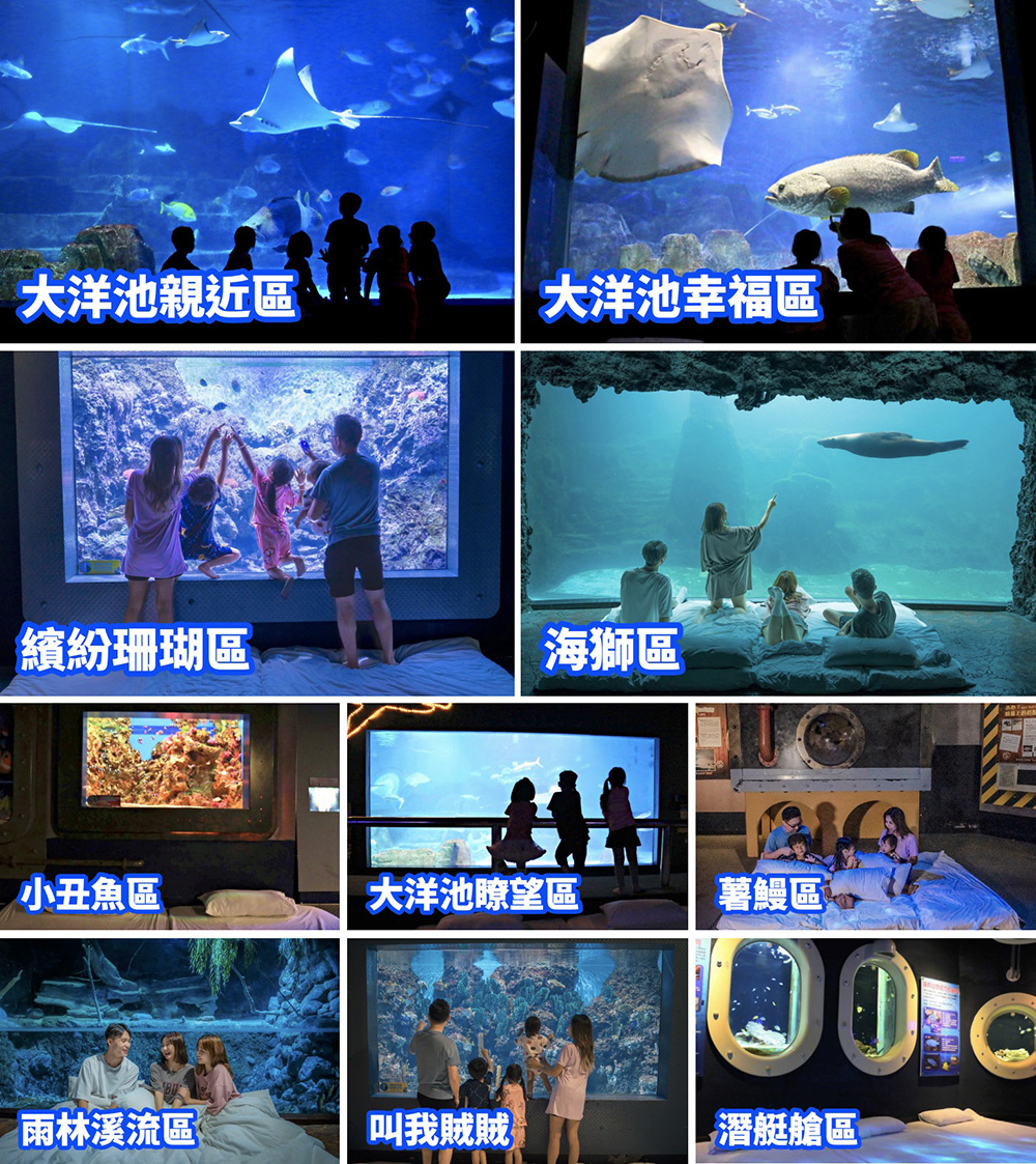 水族夜未眠