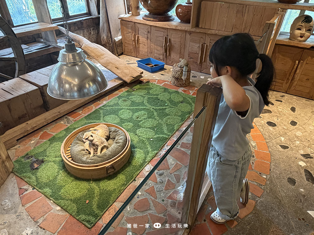 香格里拉休閒農場 |晚上觀星看銀河,白天在農場玩超大盪鞦韆、吊橋,兩天一夜好好玩 宜蘭香格里拉農場