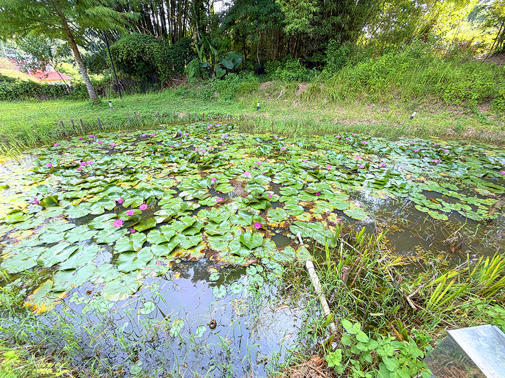 南投魚池雁寓BY尋路|薰衣草森林旗下新民宿,享受一段慢旅行 IMG 2943