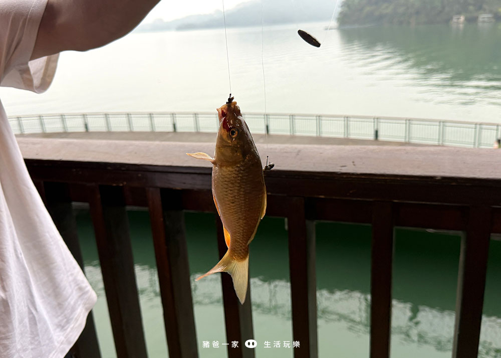 力麗哲園會館 釣魚房22