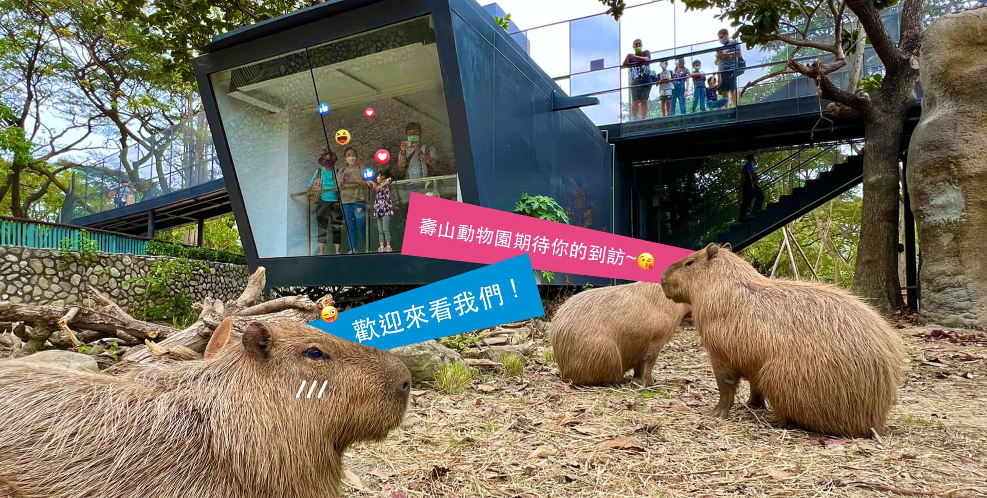 zoo banner image
