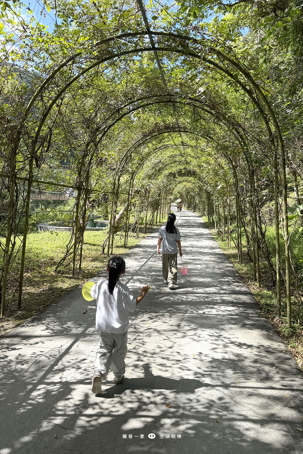 天成逸旅-蝴蝶谷|限時團購!2大1小 免費升等四人房, 一泊三食6099起 天成逸旅 蝴蝶谷46
