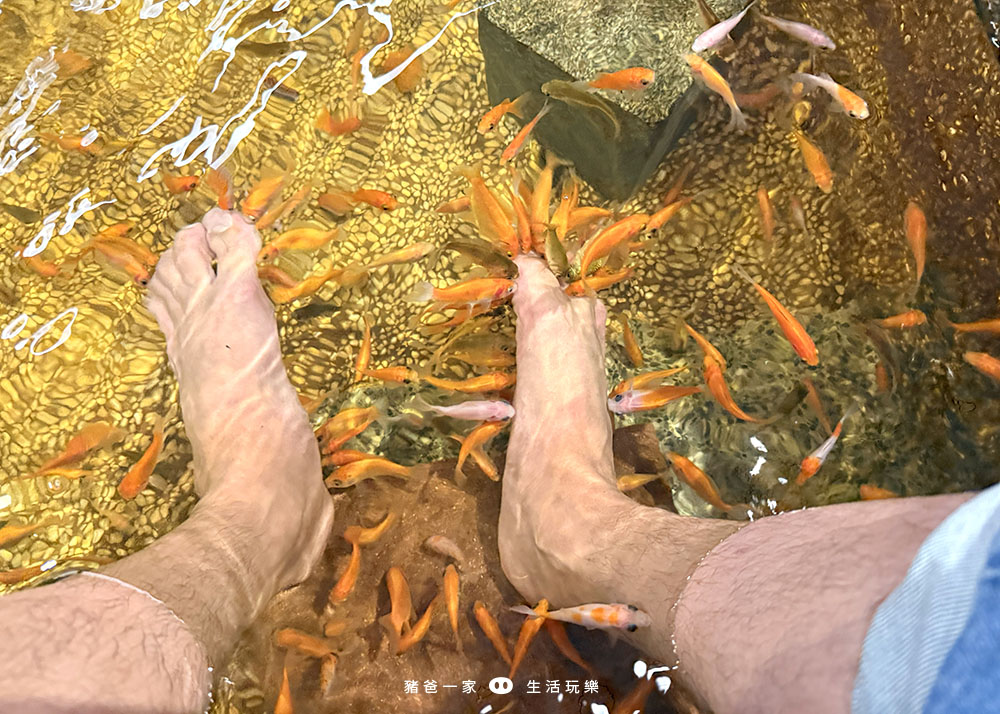 宜蘭礁溪|重口味溫泉魚!湯圍溝中最推這間,12種溫泉魚,體驗不一樣的魚咬腳樂趣 湯圍溝 重口味溫泉魚11