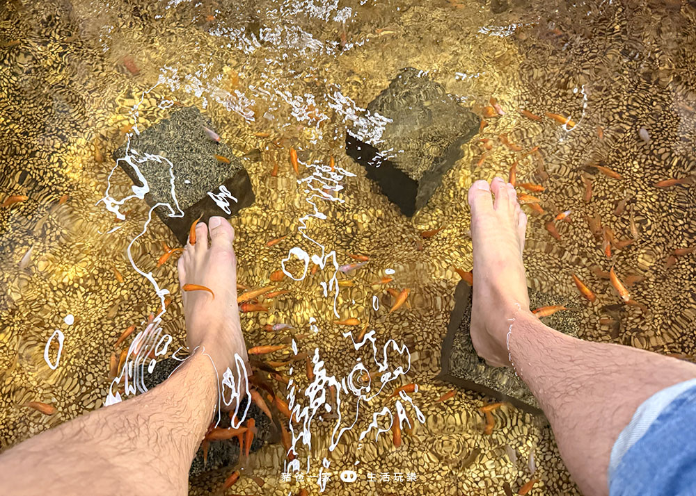 宜蘭礁溪|重口味溫泉魚!湯圍溝中最推這間,12種溫泉魚,體驗不一樣的魚咬腳樂趣 湯圍溝 重口味溫泉魚2