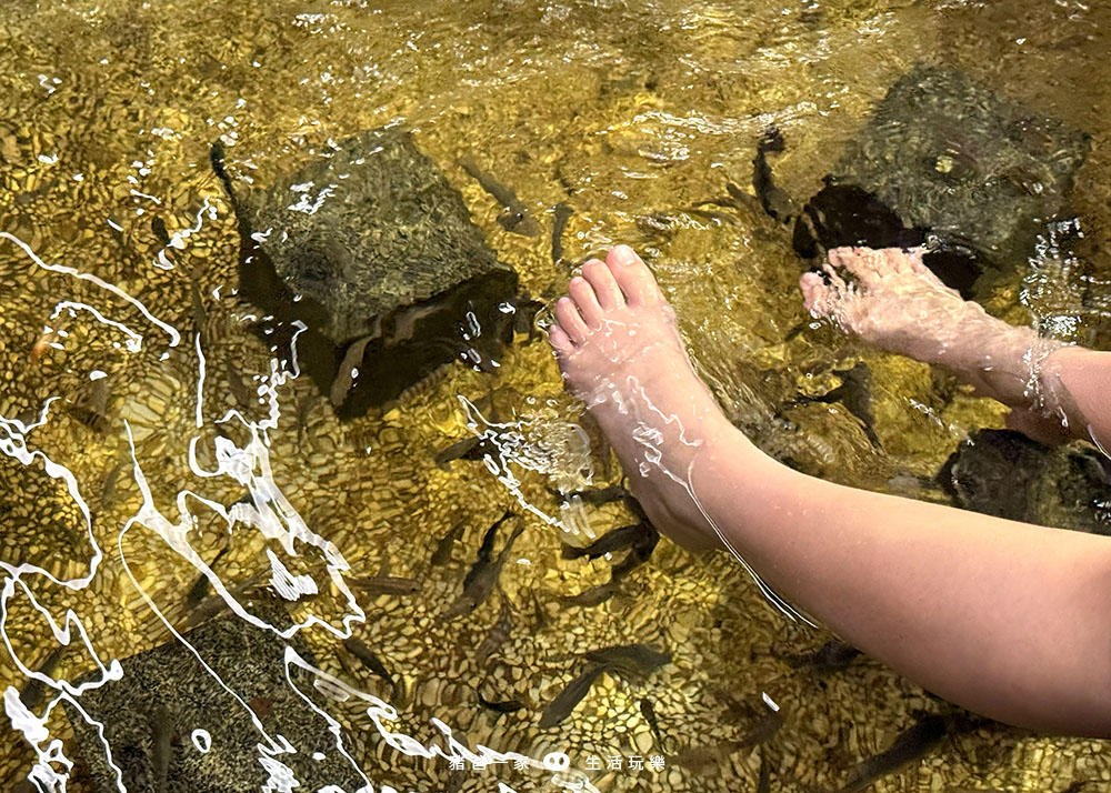宜蘭礁溪|重口味溫泉魚!湯圍溝中最推這間,12種溫泉魚,體驗不一樣的魚咬腳樂趣 湯圍溝 重口味溫泉魚22