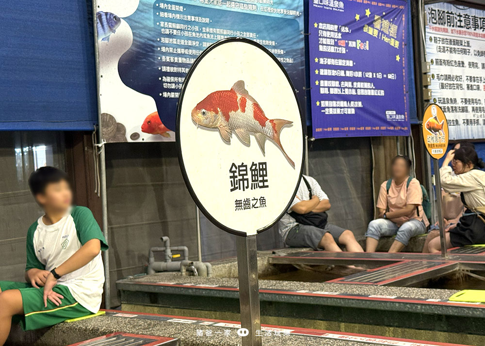 宜蘭礁溪|重口味溫泉魚!湯圍溝中最推這間,12種溫泉魚,體驗不一樣的魚咬腳樂趣 湯圍溝 重口味溫泉魚24