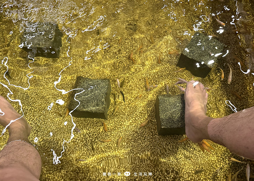 宜蘭礁溪|重口味溫泉魚!湯圍溝中最推這間,12種溫泉魚,體驗不一樣的魚咬腳樂趣 湯圍溝 重口味溫泉魚25