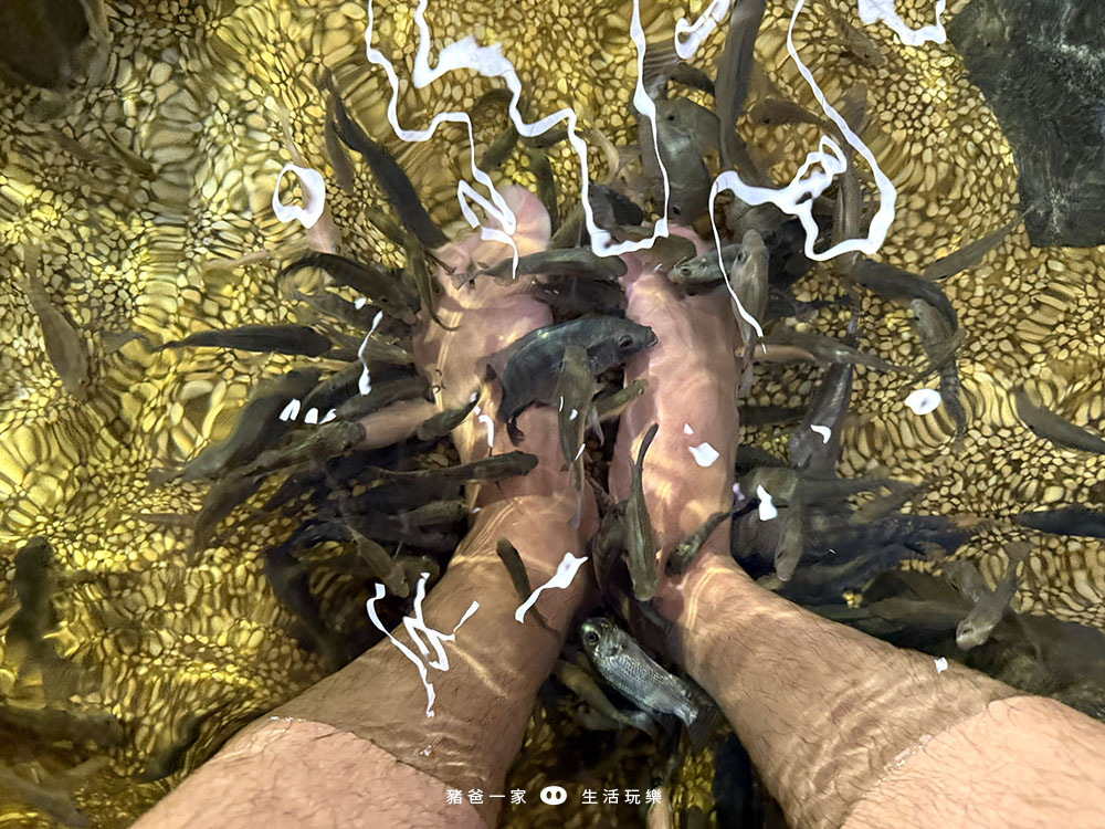 宜蘭礁溪|重口味溫泉魚!湯圍溝中最推這間,12種溫泉魚,體驗不一樣的魚咬腳樂趣 湯圍溝 重口味溫泉魚28