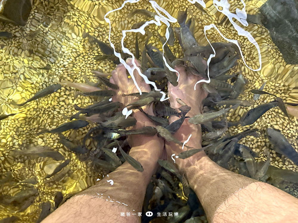 宜蘭礁溪|重口味溫泉魚!湯圍溝中最推這間,12種溫泉魚,體驗不一樣的魚咬腳樂趣 湯圍溝 重口味溫泉魚29