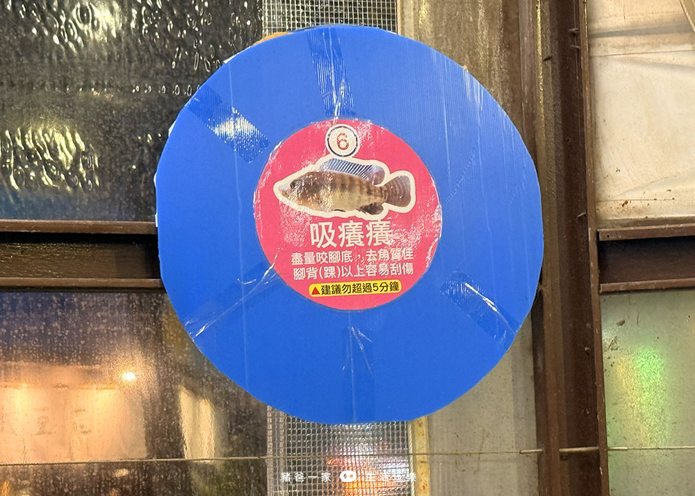 宜蘭礁溪|重口味溫泉魚!湯圍溝中最推這間,12種溫泉魚,體驗不一樣的魚咬腳樂趣 湯圍溝 重口味溫泉魚3