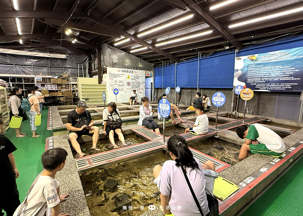 湯圍溝 重口味溫泉魚30