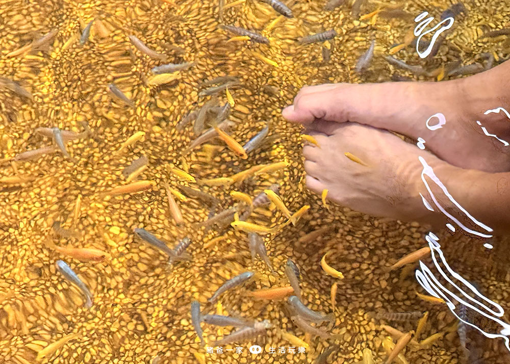 湯圍溝 重口味溫泉魚6