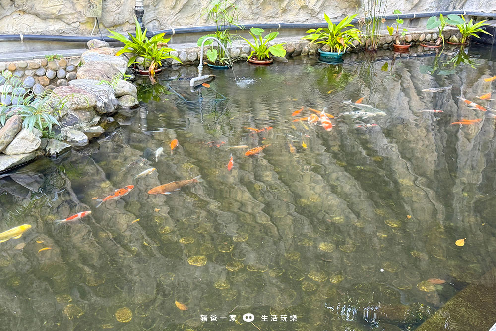 統一渡假村谷關溫泉養生會館|五行湯池、水上碰碰船、兒童戲水區,大人小孩都會愛上的渡假飯店 統一渡假村 台中谷關館 溫泉飯店 台中住宿推薦 台中飯店9