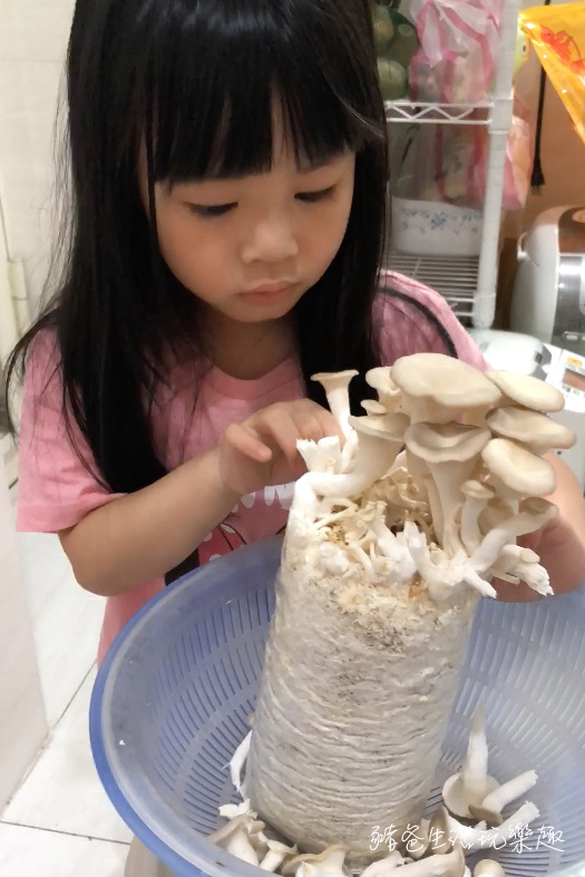 “香菇太空包”/