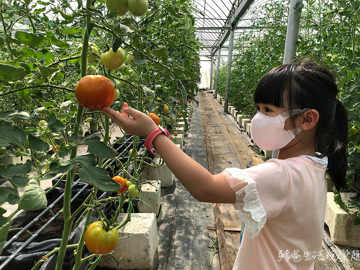 “新竹景點-金勇DIY農場”/