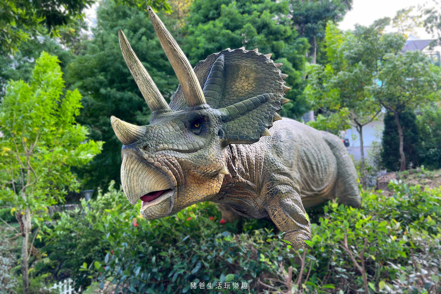 “苗栗蘇維拉莊園”/