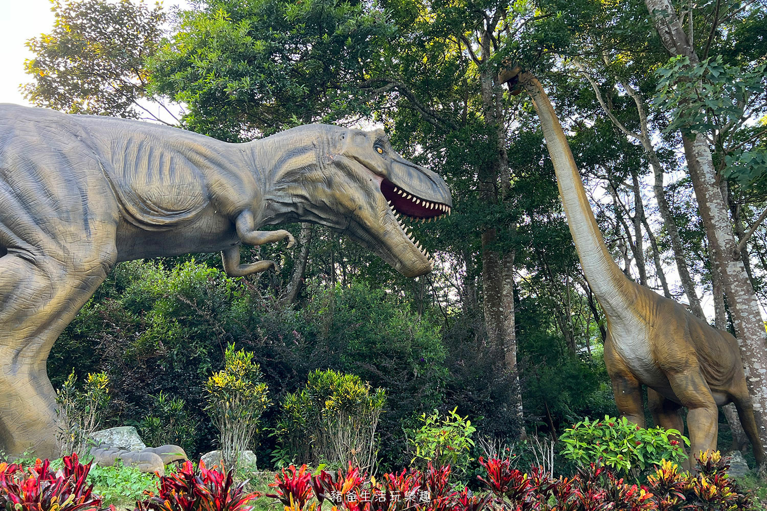 “苗栗蘇維拉莊園”/