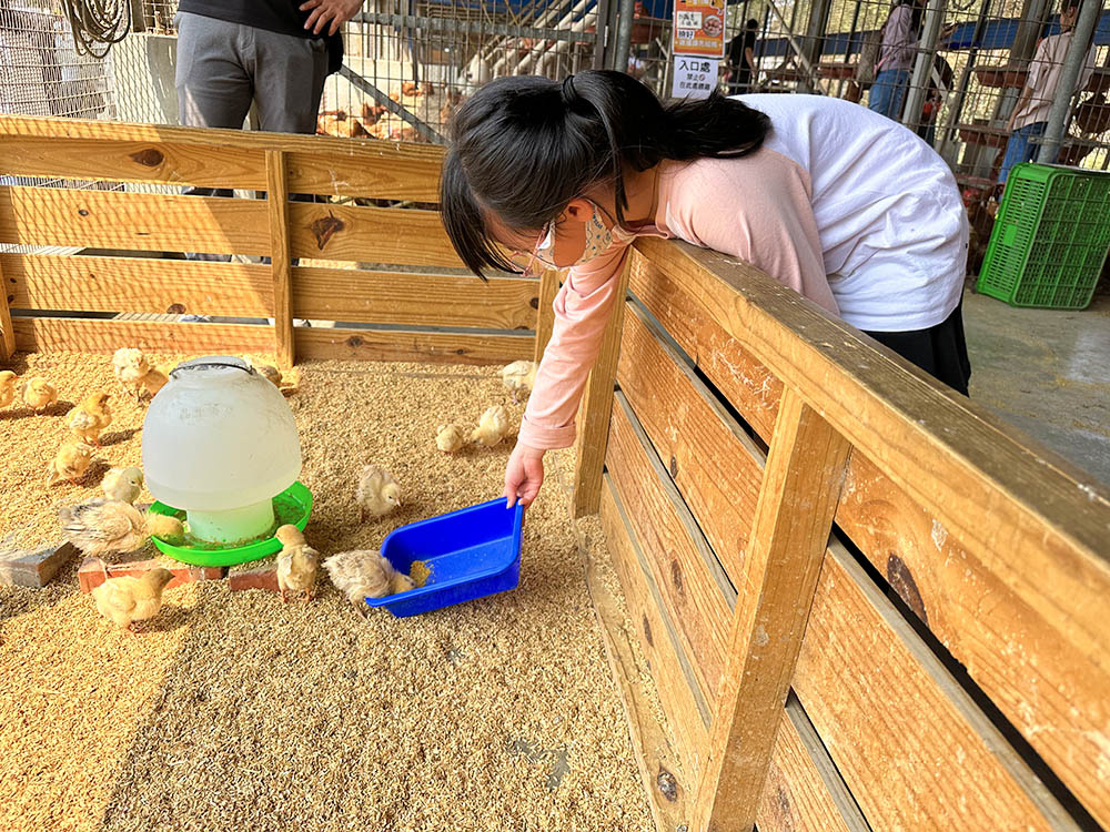 “彰化親子景點-正實農場”/