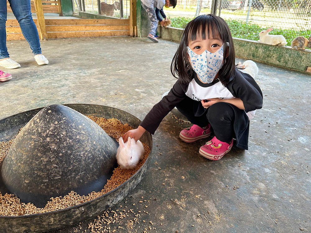 “彰化親子景點-正實農場”/